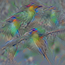 n01828970 bee eater